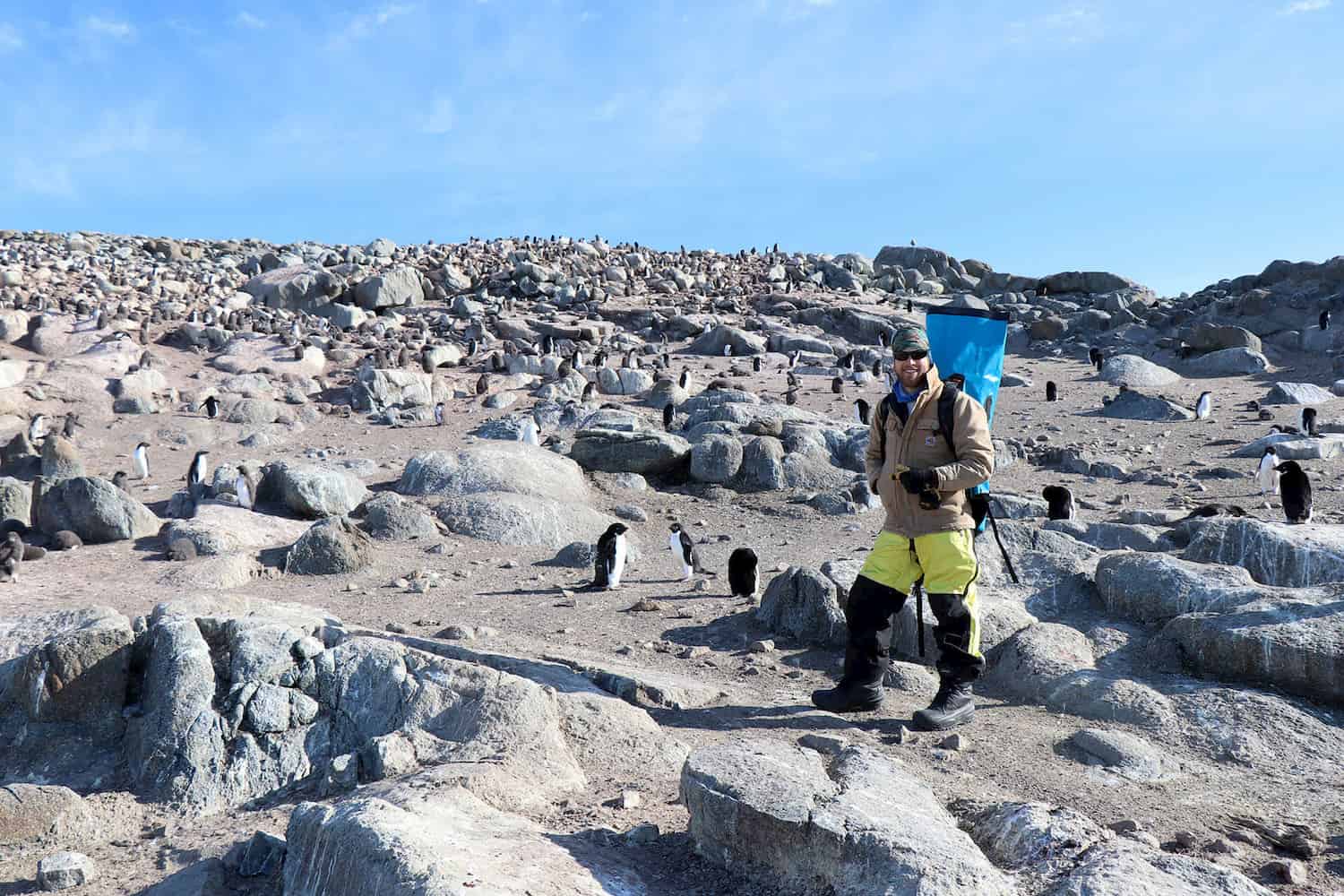 Dr Robert Dickson in rocky landscape with hundreds of penguins